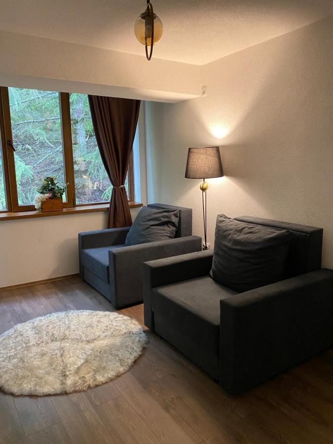 Hotel Neda Galichnik Galicnik ภายนอก รูปภาพ